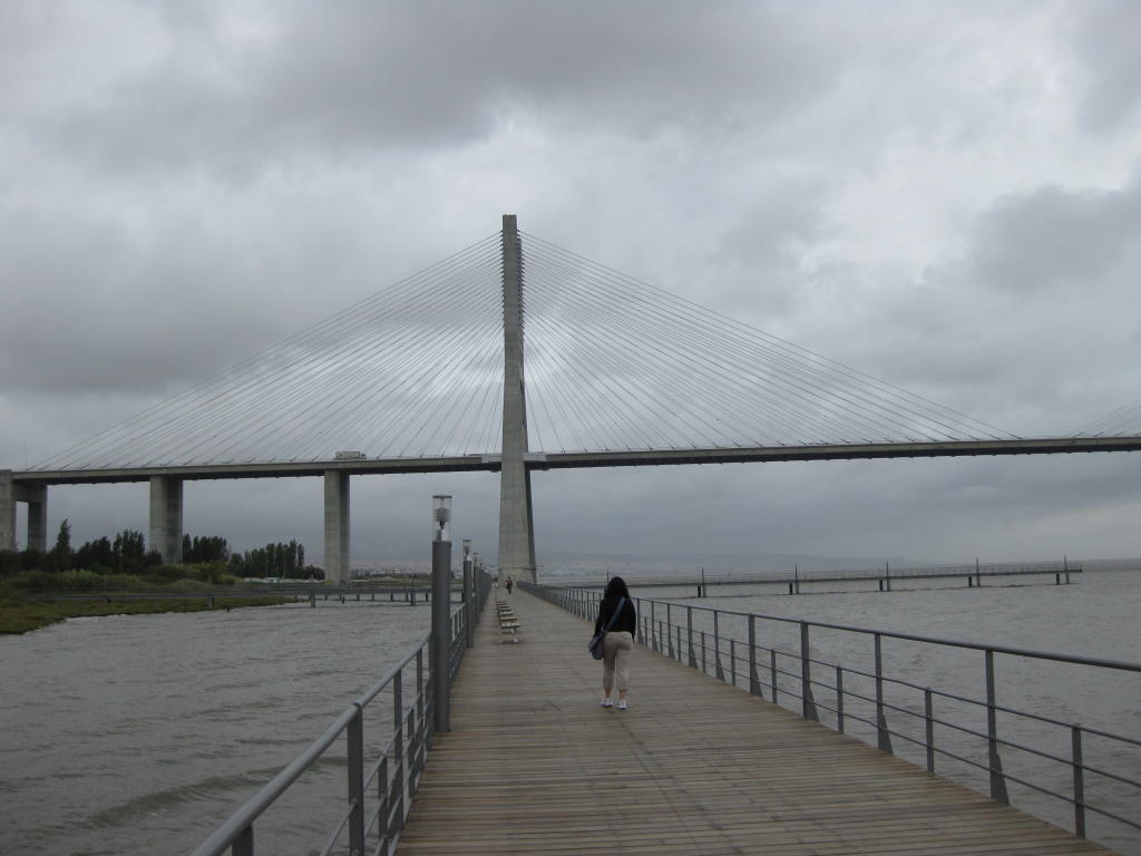 Vasco da Gama Bridge - Lisbon, Portugal. Image Credit: Tasha S. K. Aoaeh (2010)